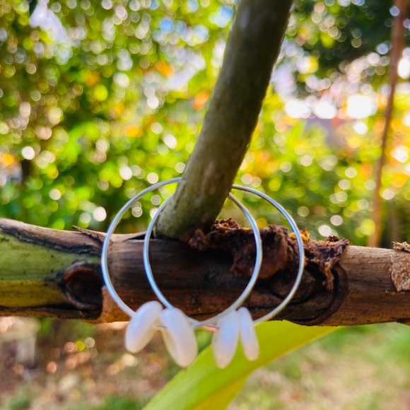 Authentic Hawaiian Puka shell earrings - Picture 3 of 8